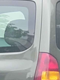 guessthecar_crop