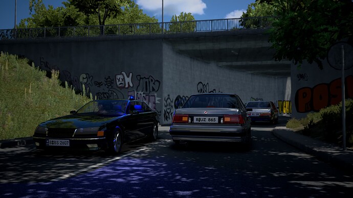 HiResPhoto9407_1,920-1,080