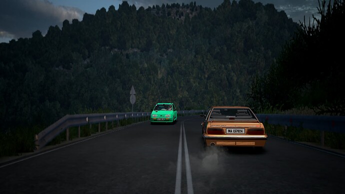 HiResPhoto8990_1,920-1,080