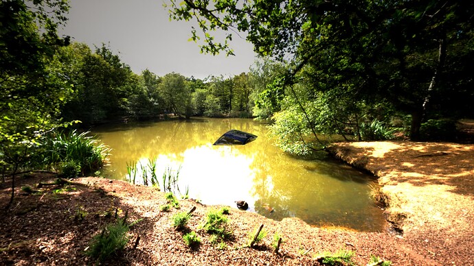 HiResPhoto5675_1,920-1,080