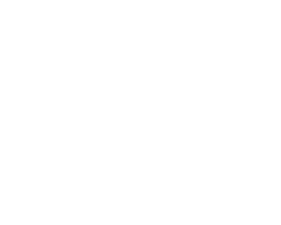 late '70s-early '80s Alliance corporate logo