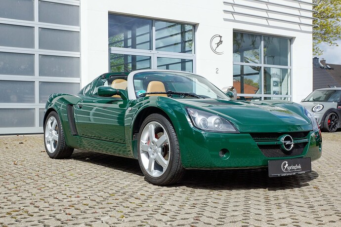 opel_speedster-11-496218495