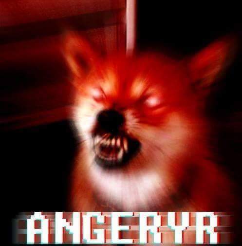 angery doggo 2